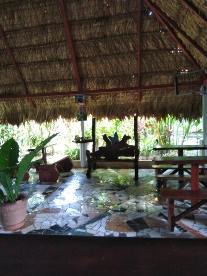 Отель Cabinas Talamanca Sa Puerto Viejo de Talamanca Экстерьер фото